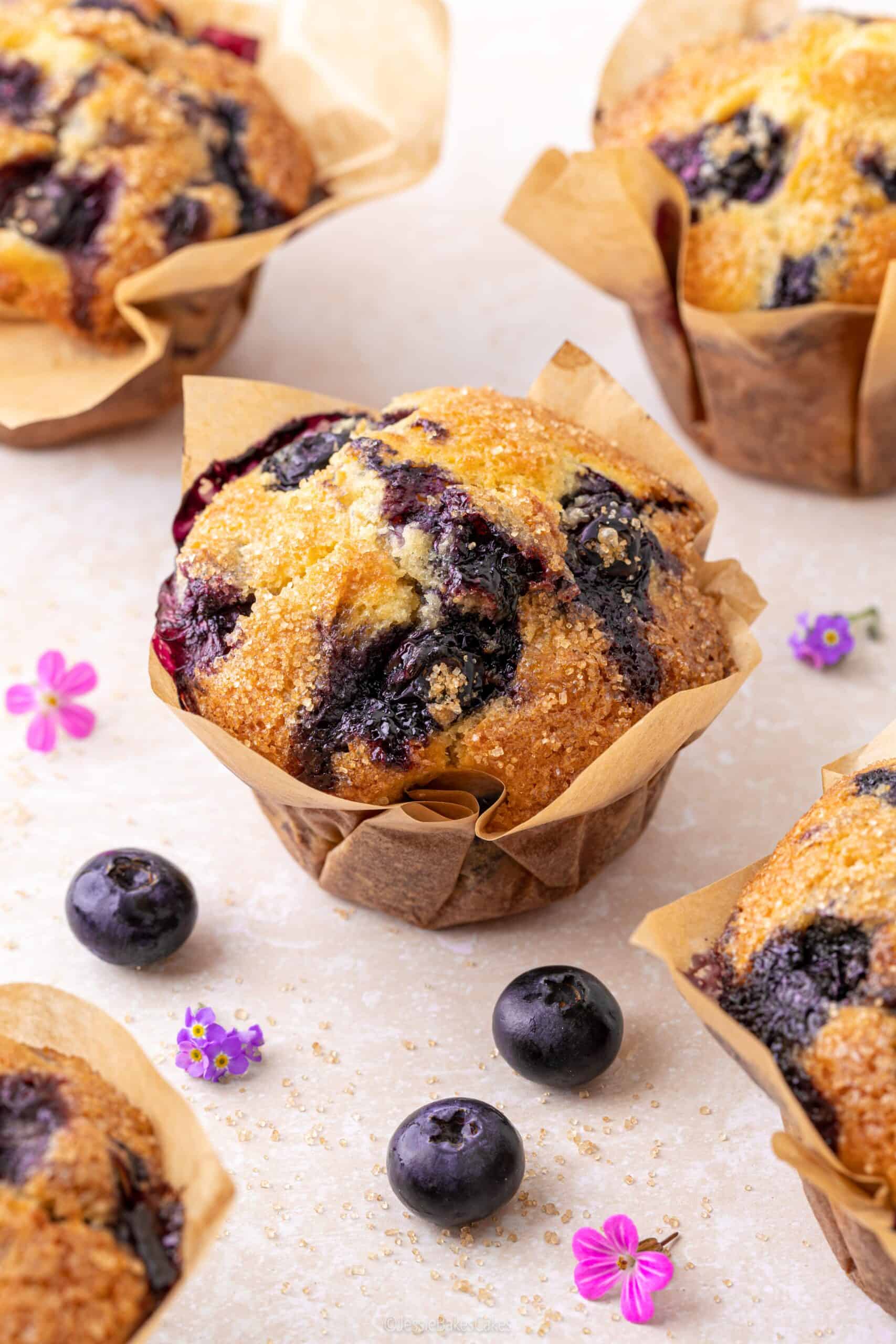 Blueberry Muffin